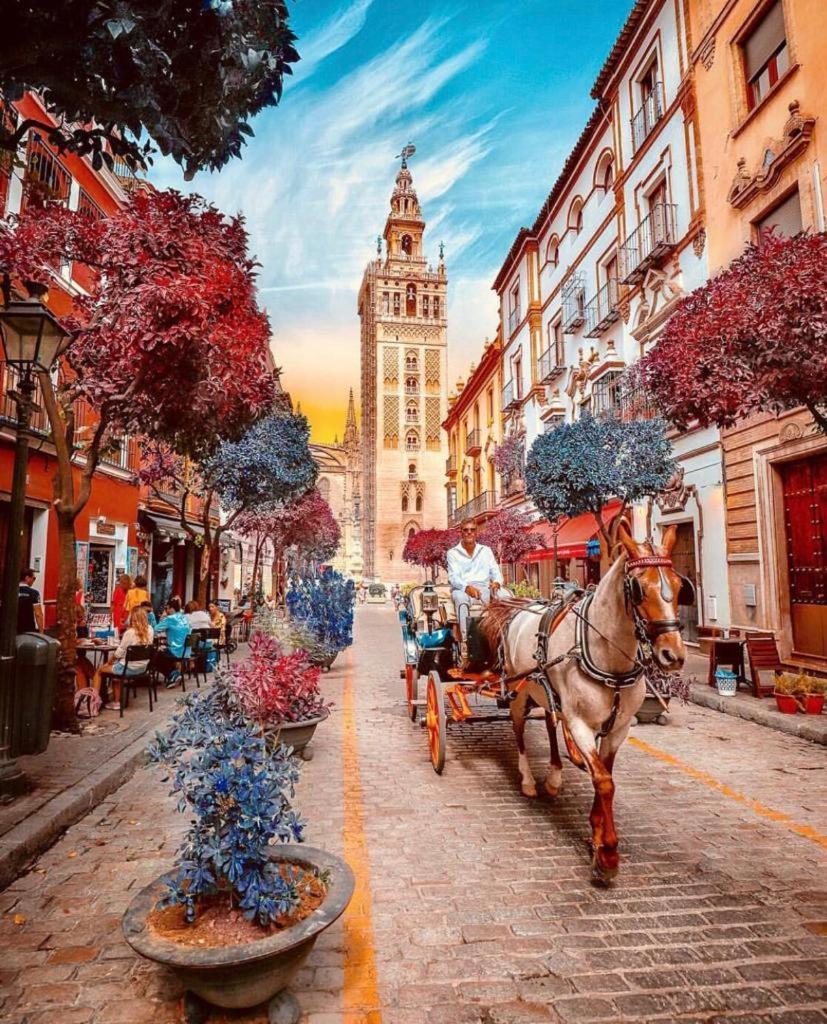 City Center Sevilla *