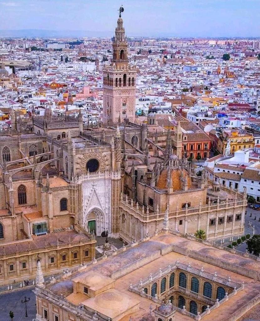 Budget And Lovely Rooms Las Setas Sevilla